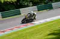 cadwell-no-limits-trackday;cadwell-park;cadwell-park-photographs;cadwell-trackday-photographs;enduro-digital-images;event-digital-images;eventdigitalimages;no-limits-trackdays;peter-wileman-photography;racing-digital-images;trackday-digital-images;trackday-photos